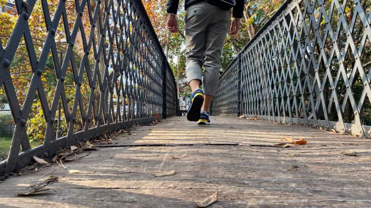 A person walks across a wooden footbridge surrounded by autumn leaves, creating a tranquil outdoor scene.