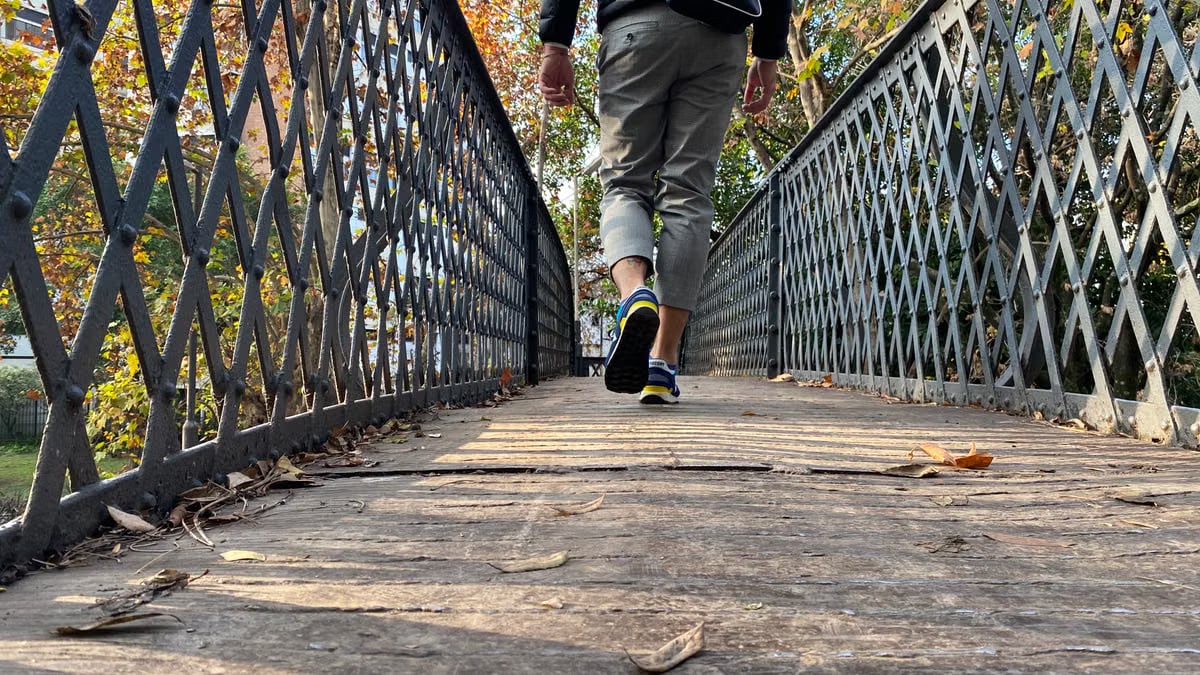 A person walks across a wooden footbridge surrounded by autumn leaves, creating a tranquil outdoor scene.